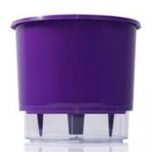 VASO AUTOIRRIGAVEL 03 ROXO