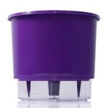 VASO AUTOIRRIGAVEL 03 ROXO