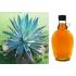 AGAVE AZUL 30CM - 515660