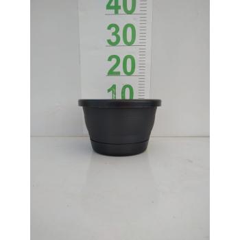 VASO PLASTIC CUIA VENEZA M. (15X22X15) C/PRATO CORES VARIADAS - 525955