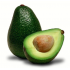 ABACATE AVOCADO PCT 19X35 - 592897